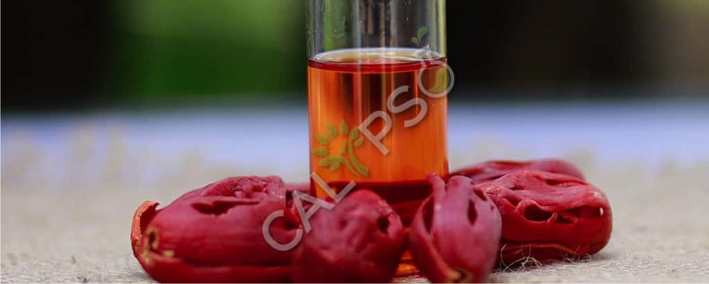 Aceite de especias